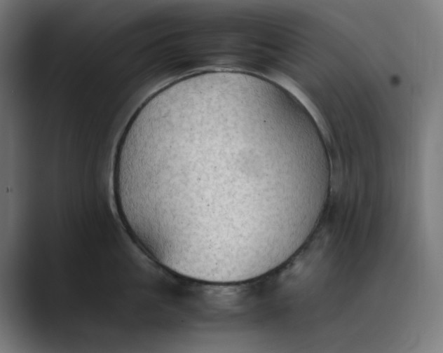 X0000089370861200706291246