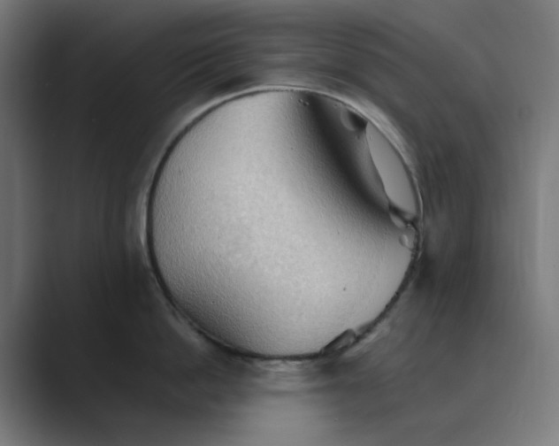X0000089370862200706291246
