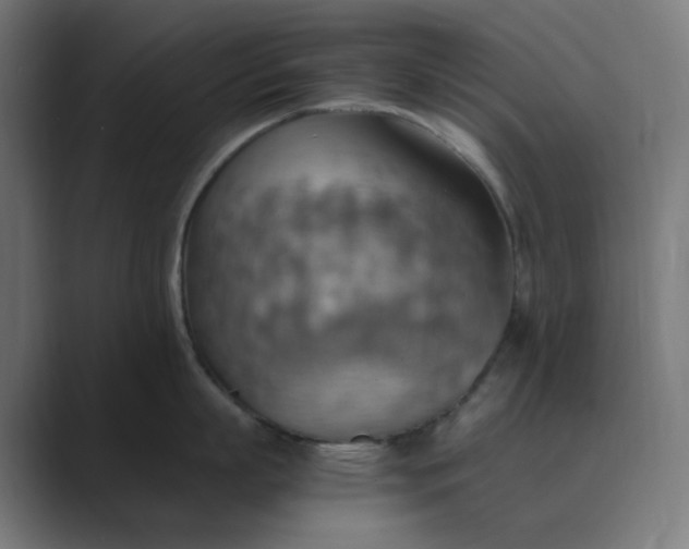 X0000089370863200706291246