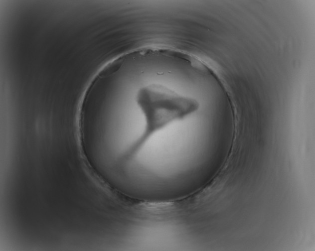 X0000089370864200706291246