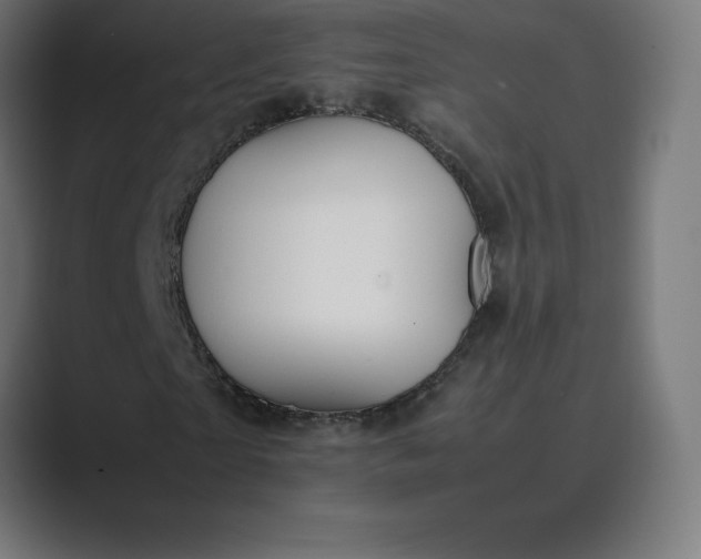 X0000089370865200706291245