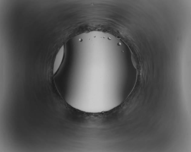 X0000089370868200706291245