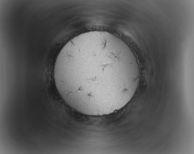 X0000089370870200706291245