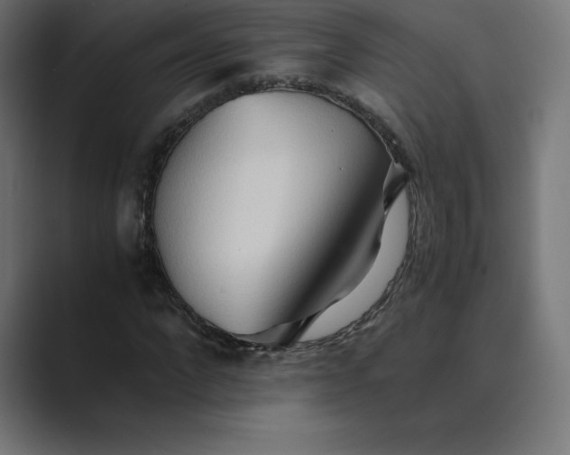 X0000089370872200706291245