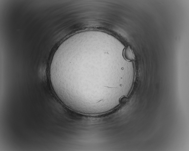 X0000089370873200706291245