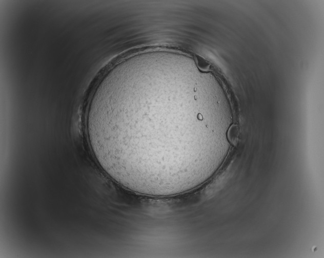 X0000089370875200706291245