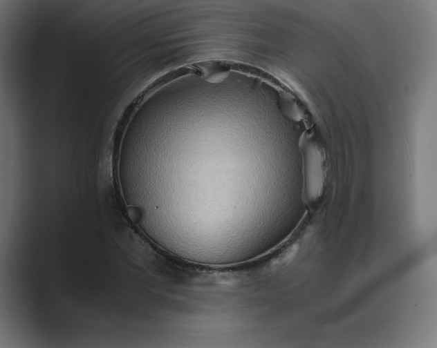 X0000089370877200706291245
