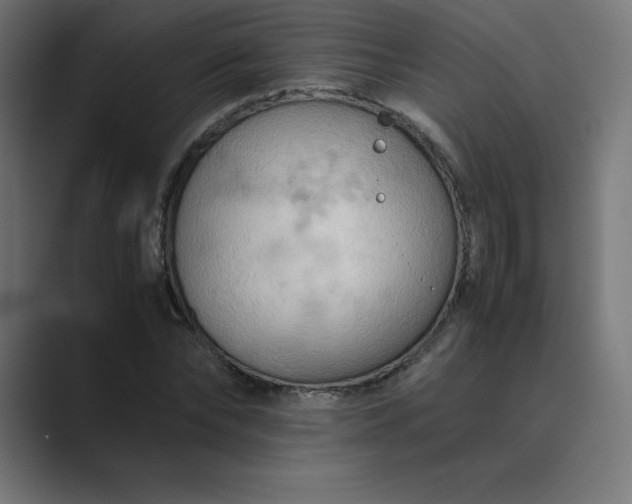 X0000089370878200706291245
