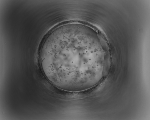 X0000089370879200706291245