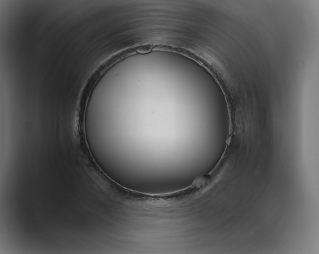 X0000089370880200706291245