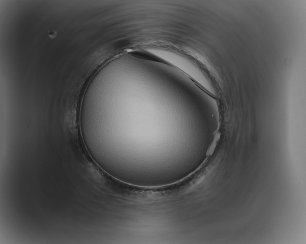 X0000089370881200706291245