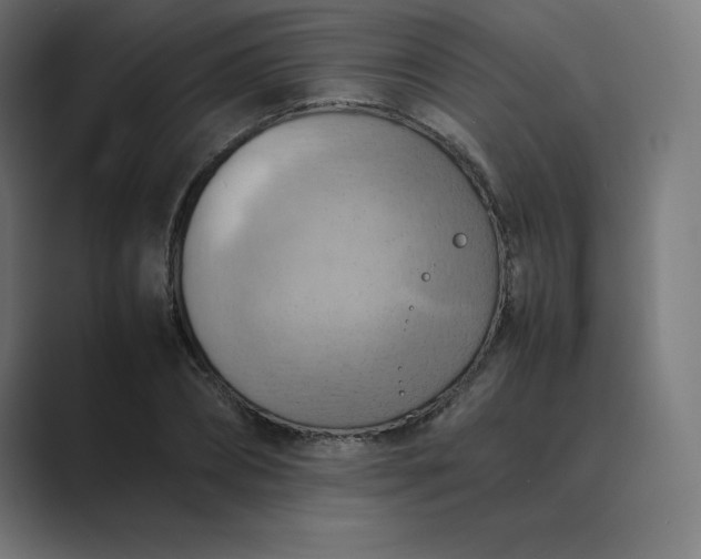 X0000089370882200706291245