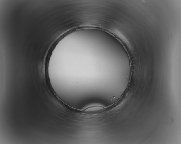 X0000089370884200706291245