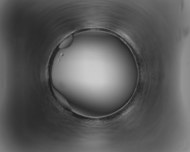 X0000089370885200706291245