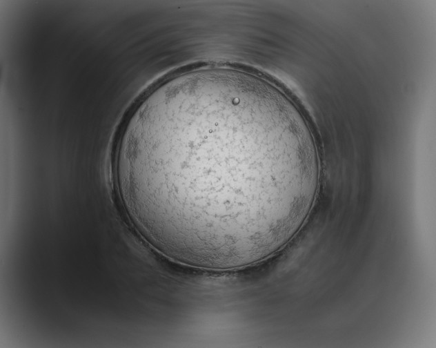 X0000089370887200706291245