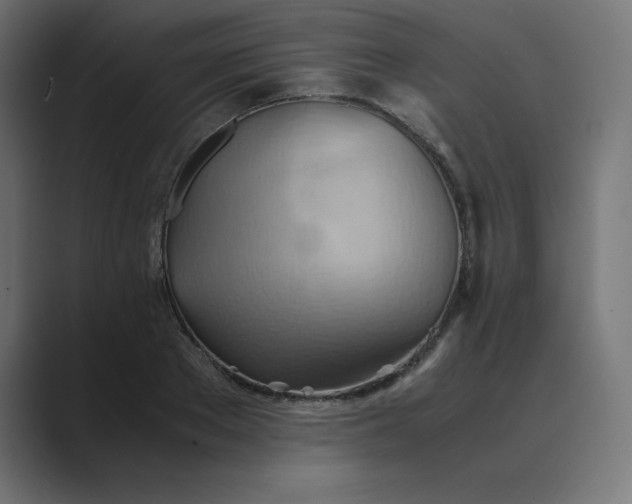 X0000089370889200706291245