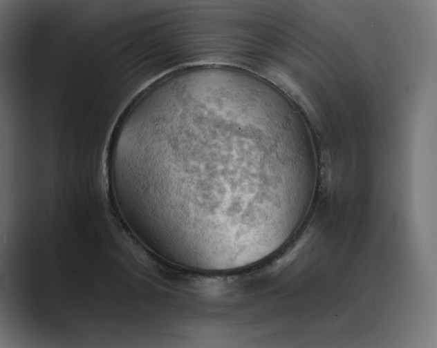 X0000089370892200706291245
