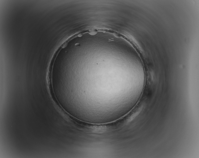 X0000089370893200706291245