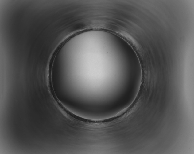 X0000089370894200706291245