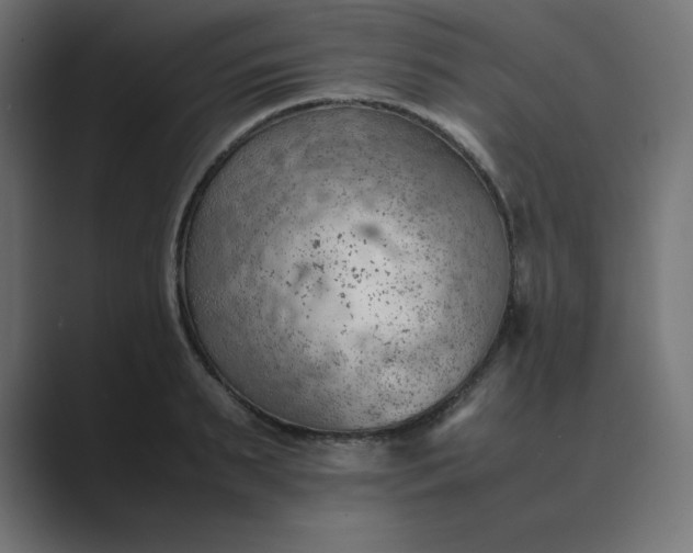 X0000089370895200706291245