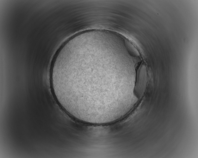 X0000089370896200706291245