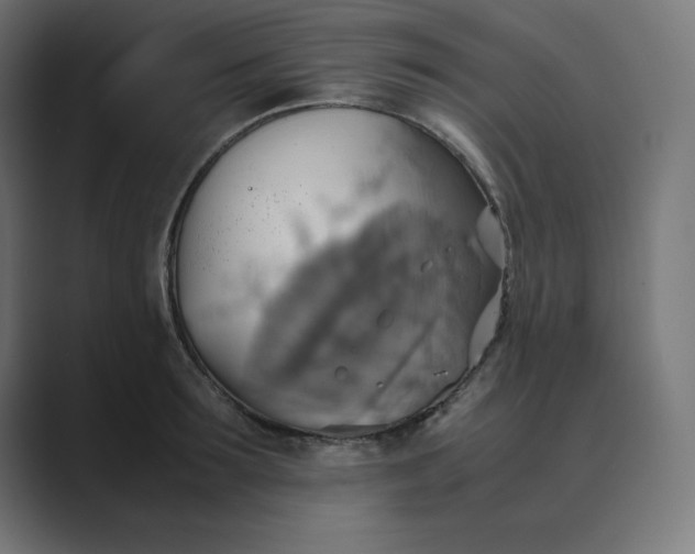 X0000089370899200706291245