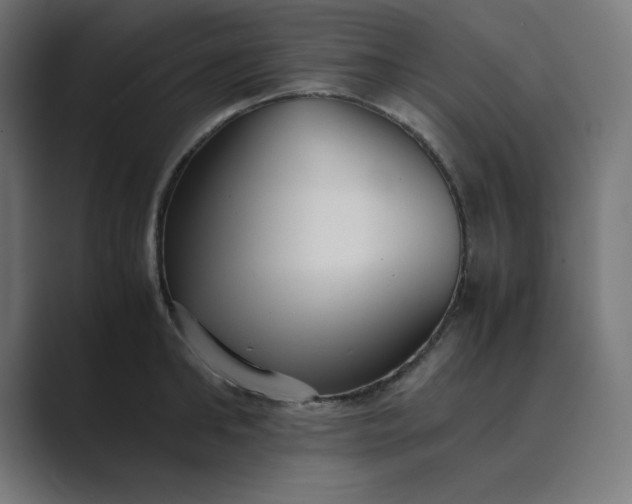 X0000089370902200706291245