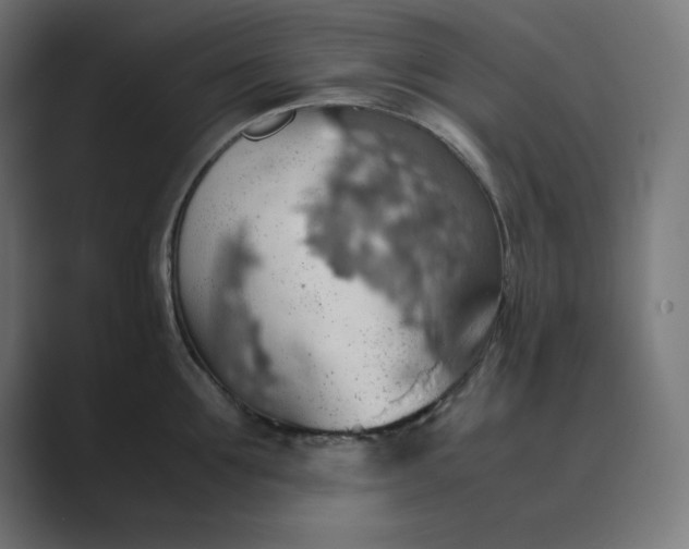 X0000089370907200706291245