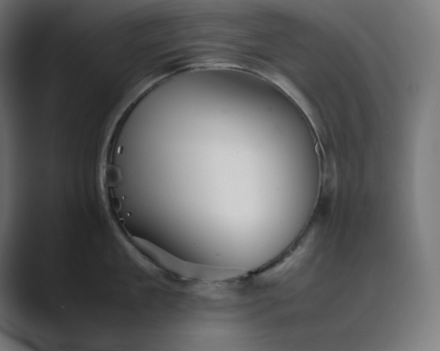 X0000089370909200706291245