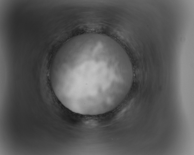 X0000089370913200706291244