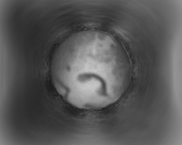 X0000089370917200706291244