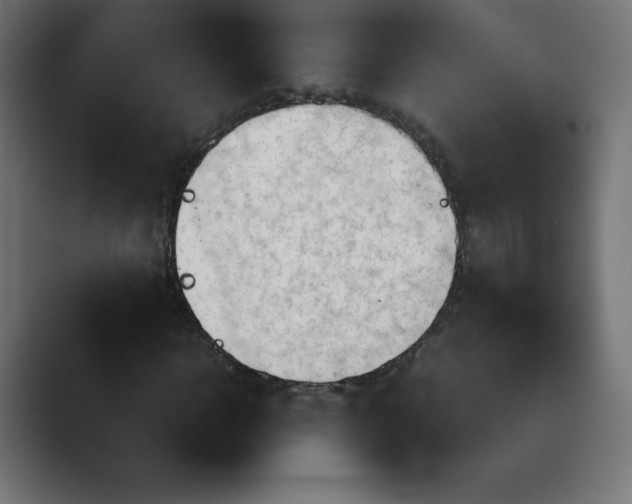 X0000089370918200706291244