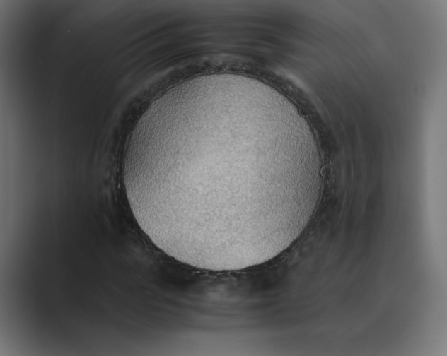X0000089370919200706291244