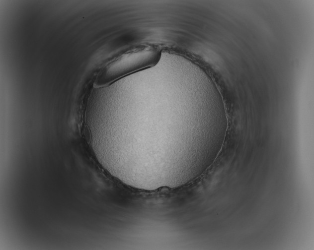 X0000089370920200706291244