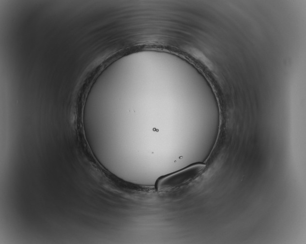 X0000089370922200706291244
