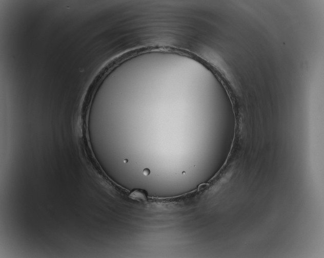 X0000089370924200706291244