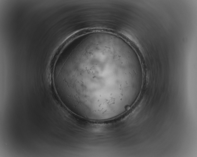 X0000089370925200706291244
