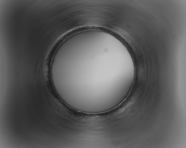 X0000089370926200706291244