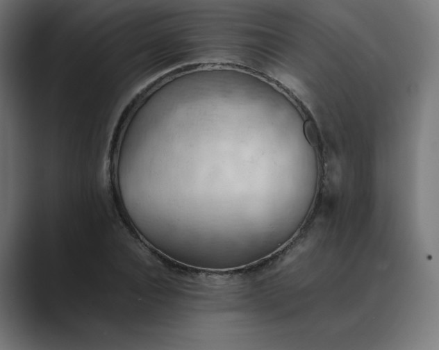 X0000089370928200706291244
