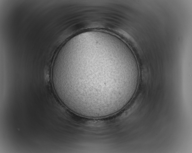 X0000089370929200706291244