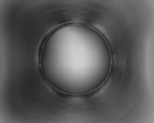 X0000089370931200706291244