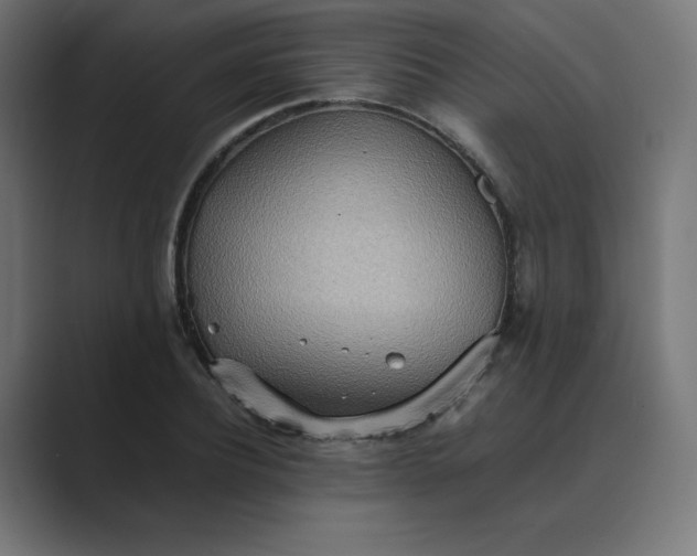X0000089370932200706291244