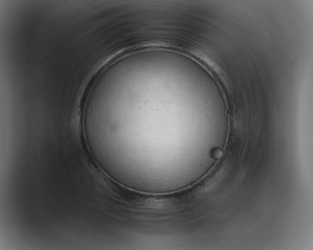 X0000089370933200706291244