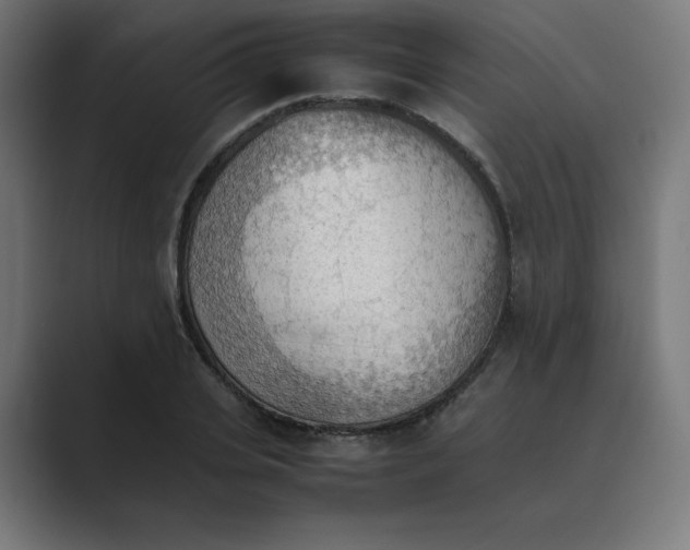 X0000089370935200706291244