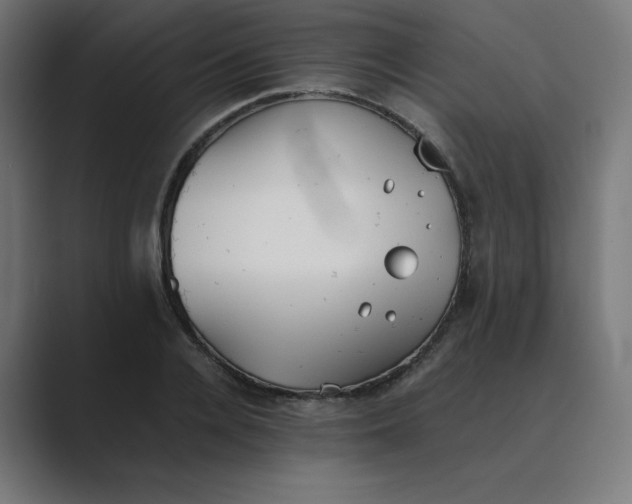 X0000089370936200706291244