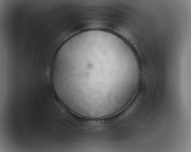 X0000089370937200706291244