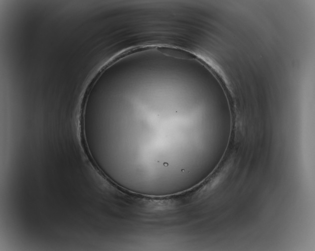 X0000089370941200706291245