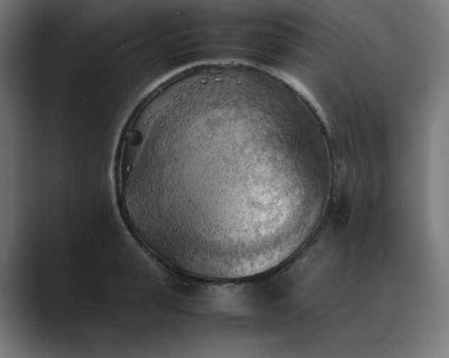 X0000089370943200706291245