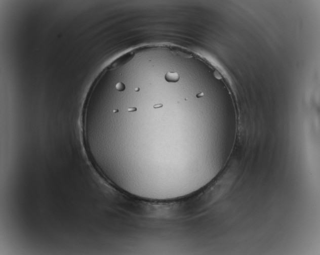X0000089370951200706291245