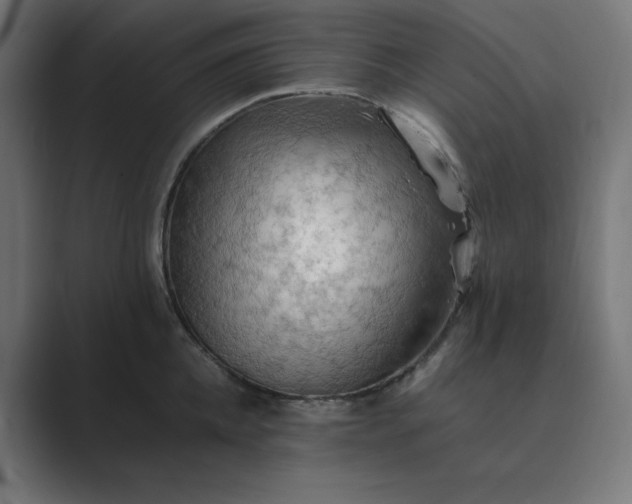 X0000089370952200706291245